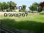 מחובבנים למקצוענים